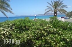 Hotel Petras Beach in Sitia, Lasithi, Crete
