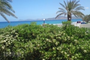 Hotel Petras Beach_accommodation_in_Hotel_Crete_Lasithi_Sitia