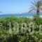 Hotel Petras Beach_accommodation_in_Hotel_Crete_Lasithi_Sitia