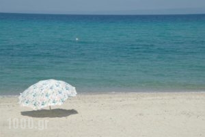 Villa Despina_travel_packages_in_Macedonia_Halkidiki_Nea Skioni