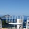 Amaranto Rooms_accommodation_in_Room_Cyclades Islands_Amorgos_Aegiali