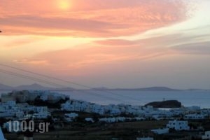 Studios Petros_accommodation_in_Hotel_Cyclades Islands_Naxos_Naxos chora