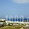 Studios Petros_lowest prices_in_Hotel_Cyclades Islands_Naxos_Naxos chora