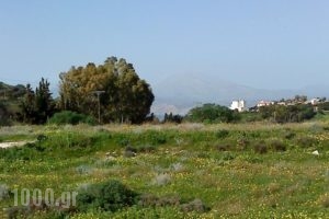 Kritamos Villa & Apartments_holidays_in_Villa_Crete_Heraklion_Tymbaki