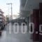 Akti Musson_lowest prices_in_Hotel_Macedonia_Pieria_Paralia Katerinis