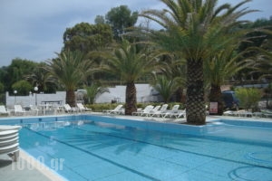 ABC Sweet Home_best deals_Apartment_Ionian Islands_Corfu_Aghios Ioannis Peristeron