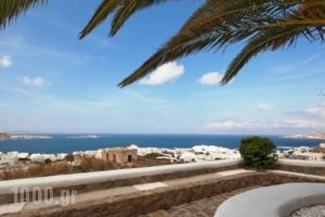 Germanos Studios_travel_packages_in_Cyclades Islands_Mykonos_Mykonos ora