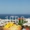 Germanos Studios_lowest prices_in_Hotel_Cyclades Islands_Mykonos_Mykonos ora