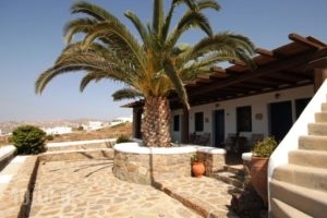 Germanos Studios_best prices_in_Hotel_Cyclades Islands_Mykonos_Mykonos ora