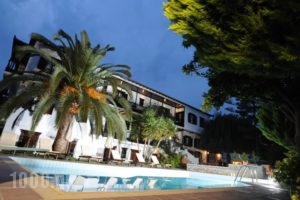 Elli Hotel_holidays_in_Hotel_Sporades Islands_Skopelos_Skopelos Chora