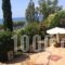 Kanellakis_best prices_in_Hotel_Peloponesse_Messinia_Kyparisia