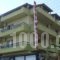 Platon Beach_holidays_in_Hotel_Macedonia_Pieria_Olympiaki Akti