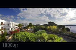 Lato Hotel_best deals_Hotel_Crete_Lasithi_Ammoudara