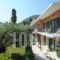 Passas Studios And Apartments_accommodation_in_Apartment_Ionian Islands_Corfu_Benitses