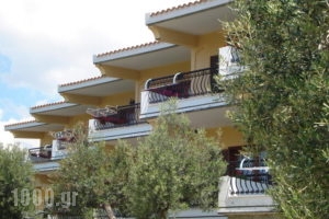 Asteris Village_best deals_Hotel_Macedonia_Halkidiki_Poligyros