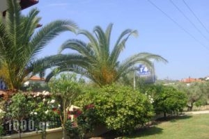 Cleopatra_holidays_in_Hotel_Macedonia_Halkidiki_Haniotis - Chaniotis