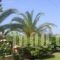 Cleopatra_holidays_in_Hotel_Macedonia_Halkidiki_Haniotis - Chaniotis