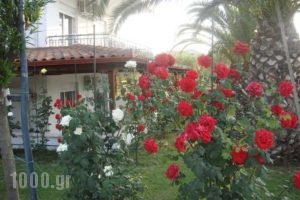 Cleopatra_accommodation_in_Hotel_Macedonia_Halkidiki_Haniotis - Chaniotis