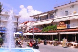 Calypso_best deals_Hotel_Macedonia_Halkidiki_Chalkidiki Area