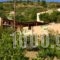 Nana Apartments_best deals_Apartment_Crete_Heraklion_Zaros