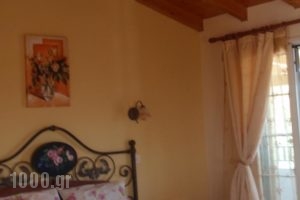 Fotini Studios_best prices_in_Hotel_Ionian Islands_Corfu_Palaeokastritsa