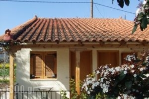 Studio Candia_lowest prices_in_Hotel_Peloponesse_Argolida_Kandia