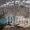 Iro's Boutique_lowest prices_in_Apartment_Cyclades Islands_Mykonos_Kalafatis