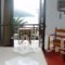 Hotel Votsala_lowest prices_in_Hotel_Thessaly_Magnesia_Zagora