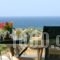 Scala Apartments_accommodation_in_Apartment_Cyclades Islands_Naxos_Naxos chora