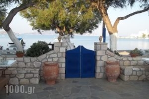 Floras Rooms_best deals_Hotel_Cyclades Islands_Milos_Apollonia