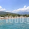 Zeus_accommodation_in_Hotel_Macedonia_Pieria_Dion