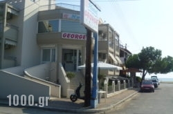 George in Kefalonia Rest Areas, Kefalonia, Ionian Islands