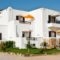 Zefyros studios_accommodation_in_Apartment_Cyclades Islands_Naxos_Naxos Chora