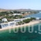 Julia_travel_packages_in_Cyclades Islands_Paros_Paros Chora