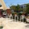 Hotel Aris_travel_packages_in_Thessaly_Magnesia_Pilio Area