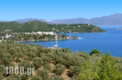 Gea Villas Skiathos in Skiathos Chora, Skiathos, Sporades Islands