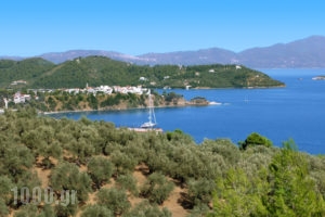 Gea Villas Skiathos_accommodation_in_Villa_Sporades Islands_Skiathos_Skiathos Chora