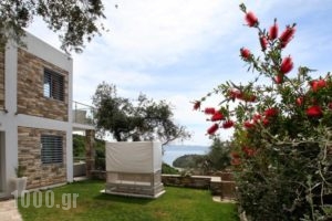 Carpe Diem Corfu Villas_holidays_in_Villa_Ionian Islands_Corfu_Corfu Rest Areas