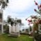 Carpe Diem Corfu Villas_holidays_in_Villa_Ionian Islands_Corfu_Corfu Rest Areas