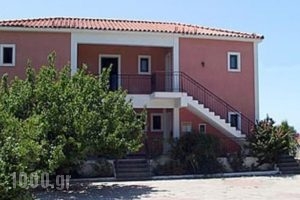 Gerasimoula Studios_best prices_in_Hotel_Ionian Islands_Kefalonia_Vlachata