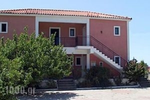 Gerasimoula Studios_best prices_in_Hotel_Ionian Islands_Kefalonia_Vlachata