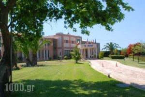 Hotel Alkionis_best prices_in_Hotel_Peloponesse_Ilia_Kakovatos