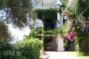 Gianna Studios_best prices_in_Apartment_Ionian Islands_Lefkada_Perigiali