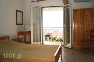 Gianna Studios_accommodation_in_Apartment_Ionian Islands_Lefkada_Perigiali