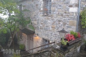 Avragonio Traditional Apartments_best deals_Hotel_Epirus_Ioannina_Papiggo