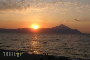 House Kostas_best prices_in_Room_Macedonia_Halkidiki_Sarti