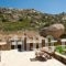 Zefyros studios_best prices_in_Apartment_Cyclades Islands_Naxos_Naxos Chora