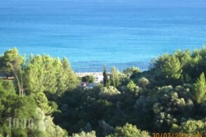 Gerasimoula Studios_holidays_in_Hotel_Ionian Islands_Kefalonia_Vlachata