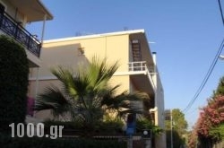 Trenta Nove Studios in Samos Rest Areas, Samos, Aegean Islands