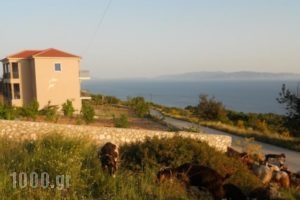 Regina_best deals_Hotel_Ionian Islands_Kefalonia_Vlachata